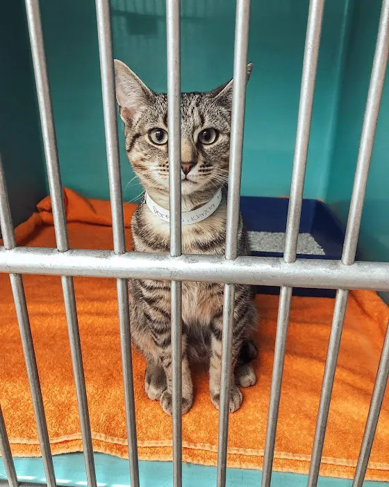 Fallon Animal Clinic Inc Picture 1