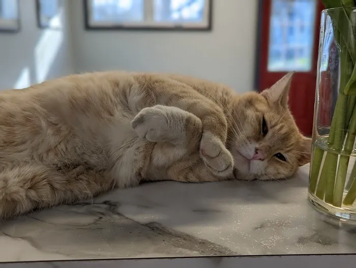 Fallon Animal Clinic Inc Picture 2