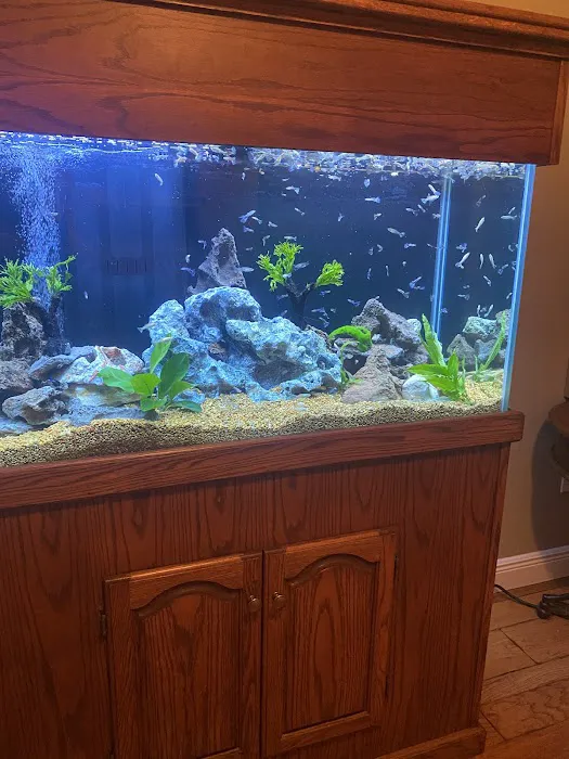 Clean Sharks Aquarium Maintenance Picture 3