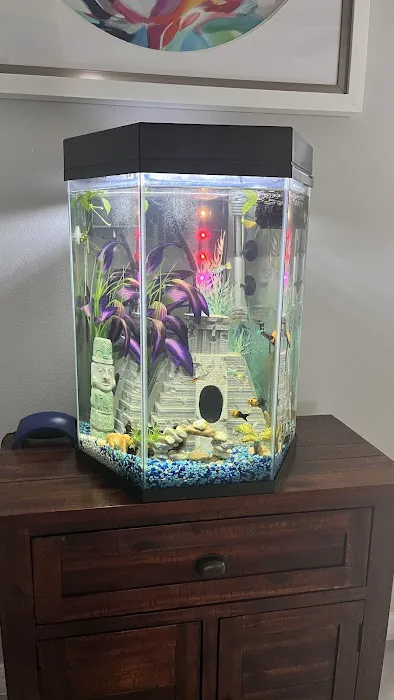 Clean Sharks Aquarium Maintenance Picture 1