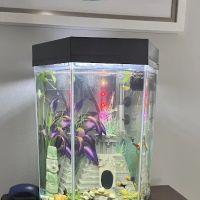 Clean Sharks Aquarium Maintenance ico