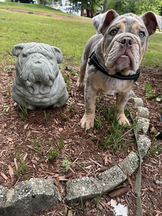 Lunenburg Veterinary Hospital Picture 8