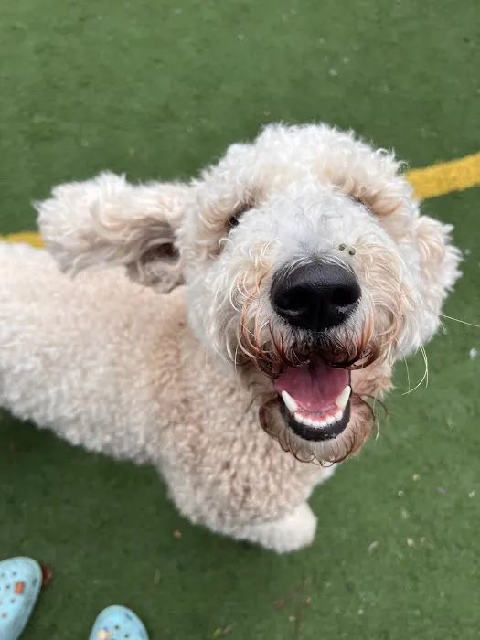 Lunenburg Veterinary Hospital Picture 3