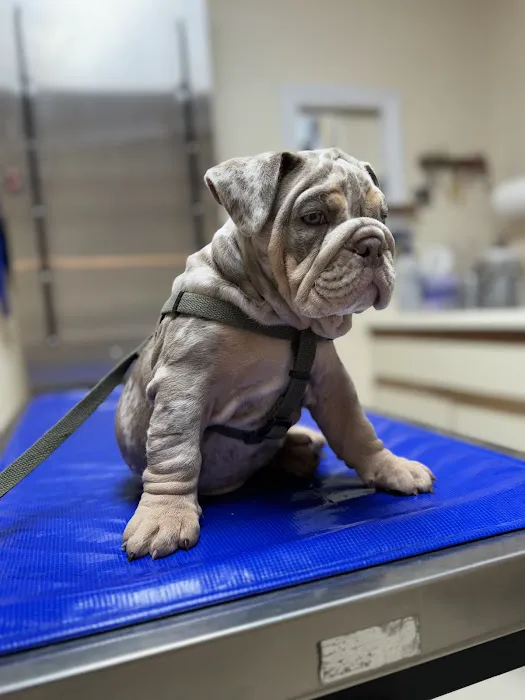 Lunenburg Veterinary Hospital Picture 4