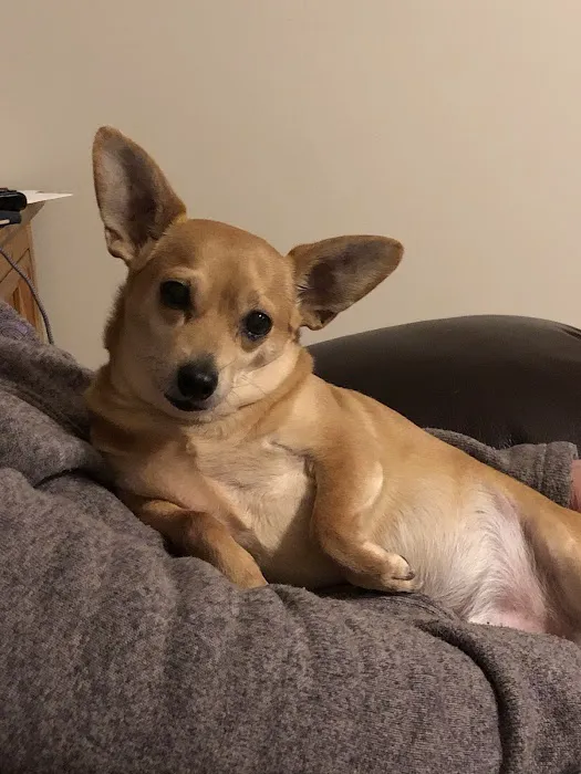 Lunenburg Veterinary Hospital Picture 5