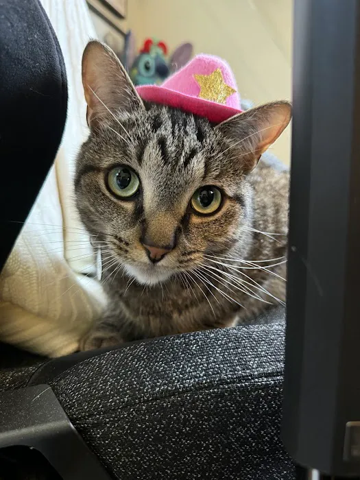 Lunenburg Veterinary Hospital Picture 9