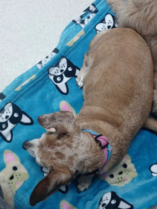 Lunenburg Veterinary Hospital Picture 7