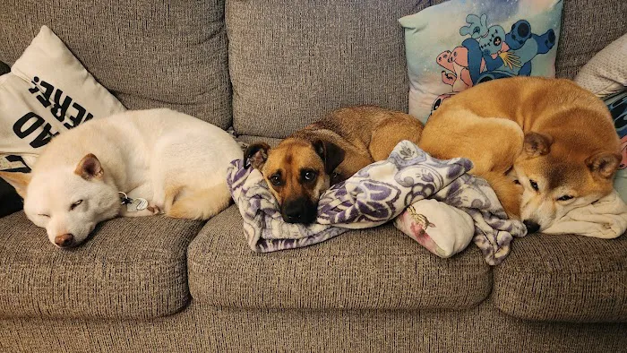 Lunenburg Veterinary Hospital Picture 10