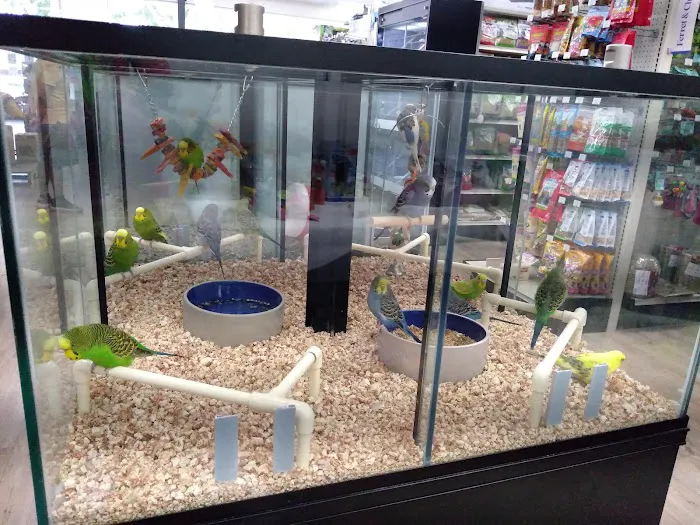 Pet Supermarket Picture 2