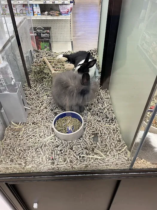 Pet Supermarket Picture 3