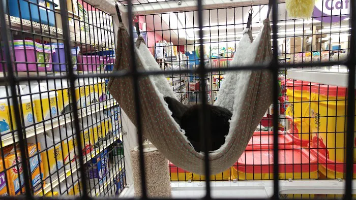 Pet Supermarket Picture 8