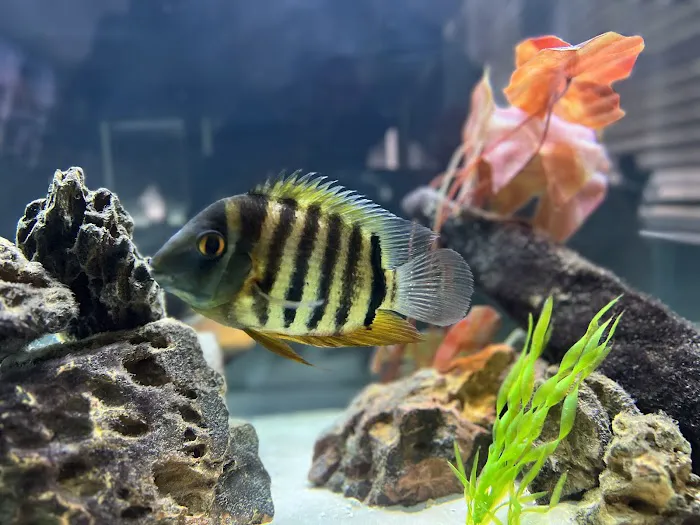 Aqualinks Picture 10