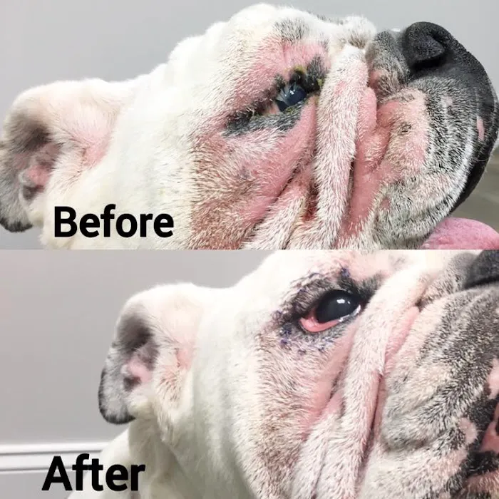 Sulin, Melissa J DVM - First Choice Veterinary Care, Inc. Picture 3