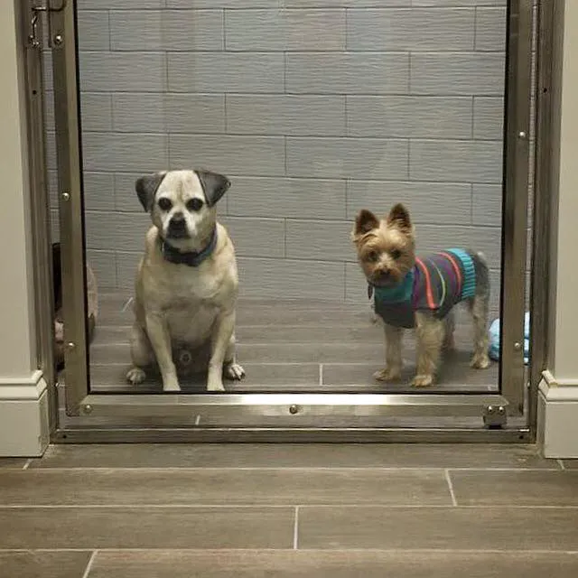 Sulin, Melissa J DVM - First Choice Veterinary Care, Inc. Picture 1