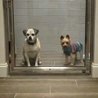 Sulin, Melissa J DVM - First Choice Veterinary Care, Inc. ico