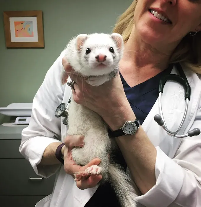 Sulin, Melissa J DVM - First Choice Veterinary Care, Inc. Picture 6