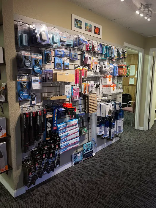 Aquatic Reef Design Picture 8