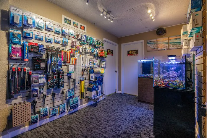 Aquatic Reef Design Picture 10