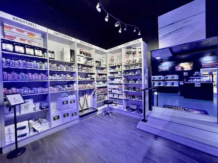 Aquatic Reef Design Picture 2