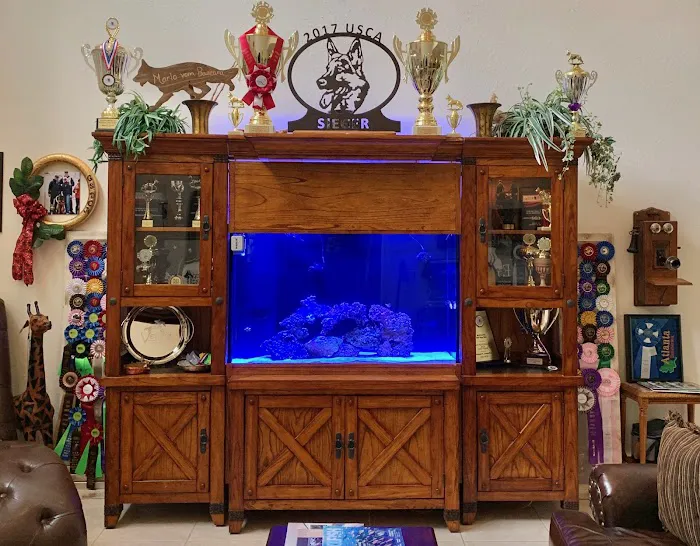 Aquatic Reef Design Picture 5