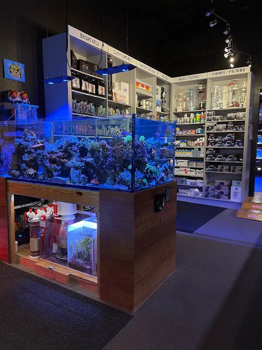 Aquatic Reef Design Picture 6