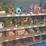 Petco