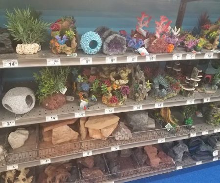 Petco