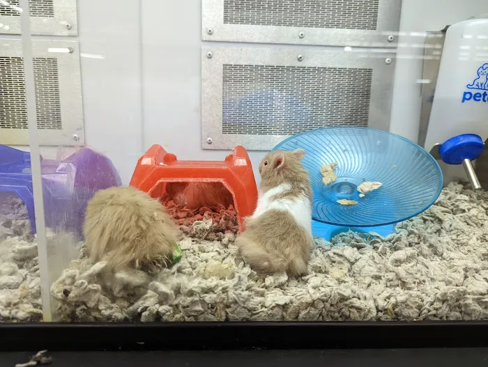 Petco Picture 7