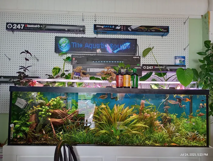 The Aquatic Source LLC Picture 9