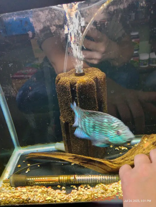 The Aquatic Source LLC Picture 2