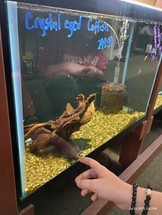 The Aquatic Source LLC Picture 1