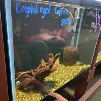 The Aquatic Source LLC ico