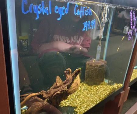 The Aquatic Source LLC