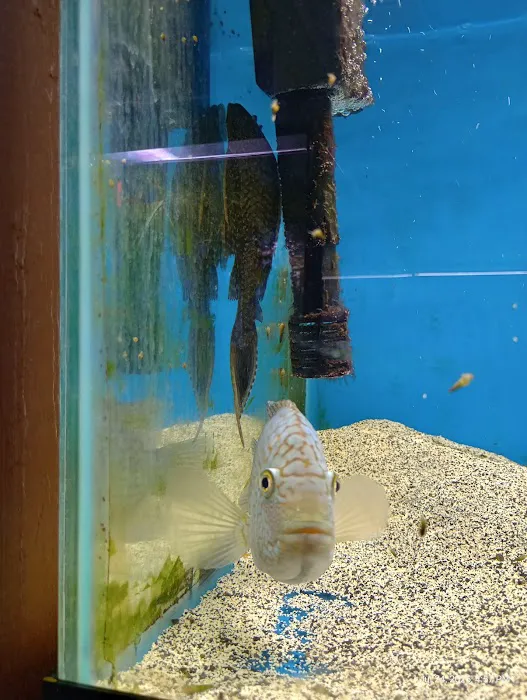 The Aquatic Source LLC Picture 3