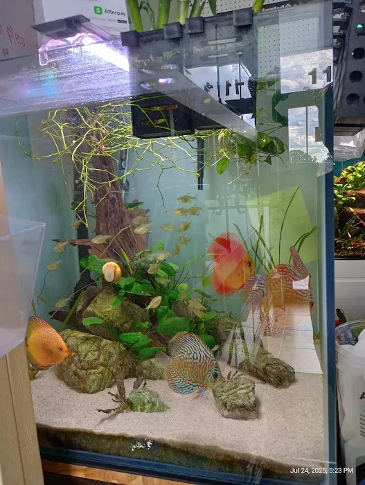 The Aquatic Source LLC Picture 4