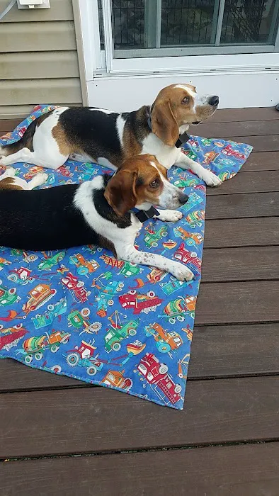 Fieldstone Animal Hospital Picture 2