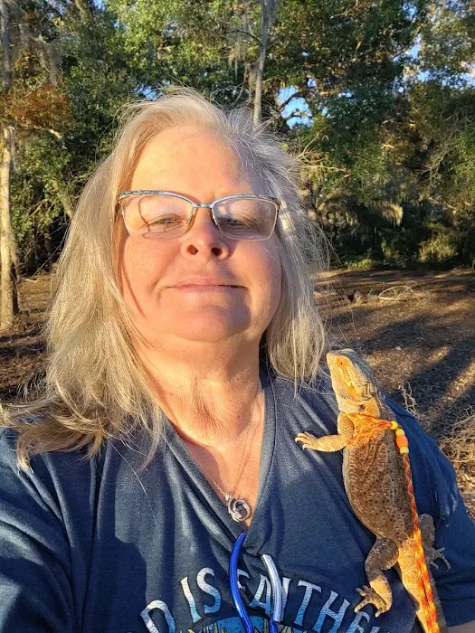 Donna's Discoids (Reptile Feeder Insects) Donna Foika Picture 6