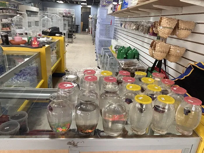 Mermaid’s Animal Petshop Picture 2