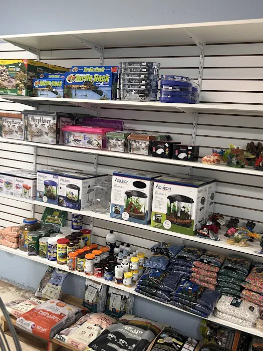 Mermaid’s Animal Petshop Picture 3