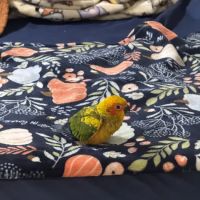 Mermaid’s Animal Petshop ico