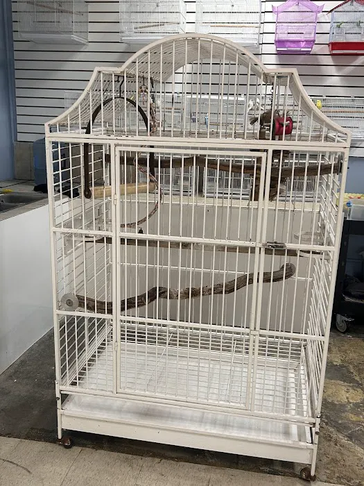 Mermaid’s Animal Petshop Picture 6