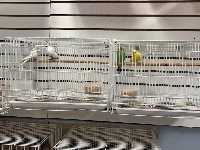 Mermaid’s Animal Petshop Picture 5