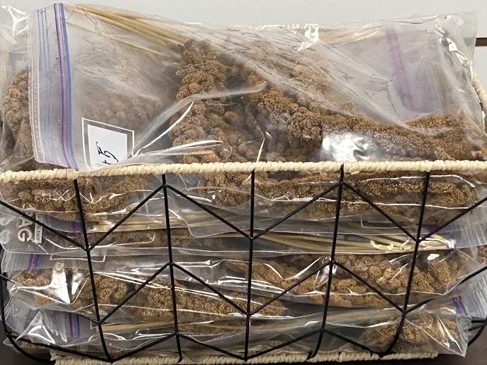 Mermaid’s Animal Petshop Picture 7