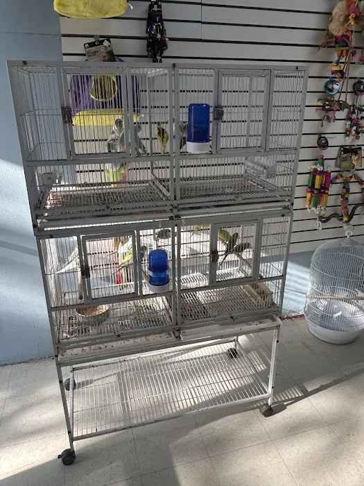 Mermaid’s Animal Petshop Picture 8