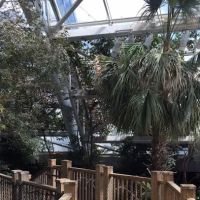 Tampa Aquarium Service ico