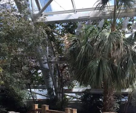 Tampa Aquarium Service