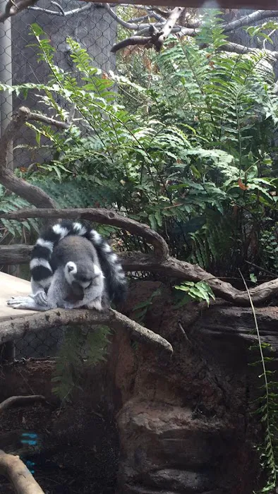 Tampa Aquarium Service Picture 3