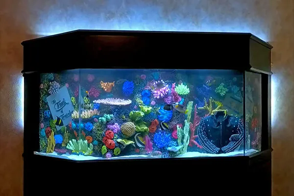 Tampa Aquarium Service Picture 5