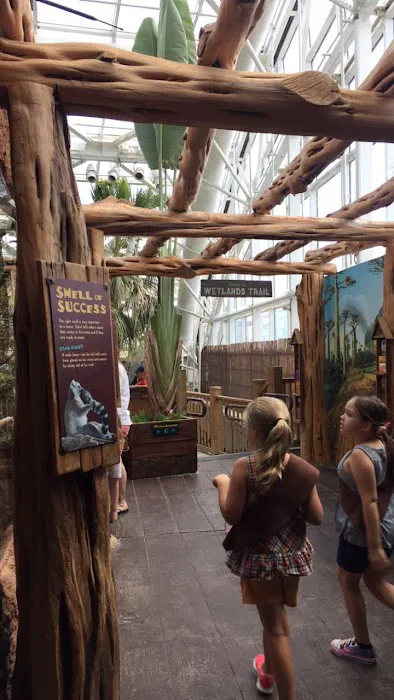 Tampa Aquarium Service Picture 2