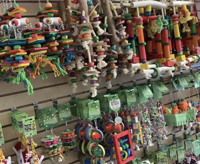 Parrotdise Bird Store & Boarding Picture 8